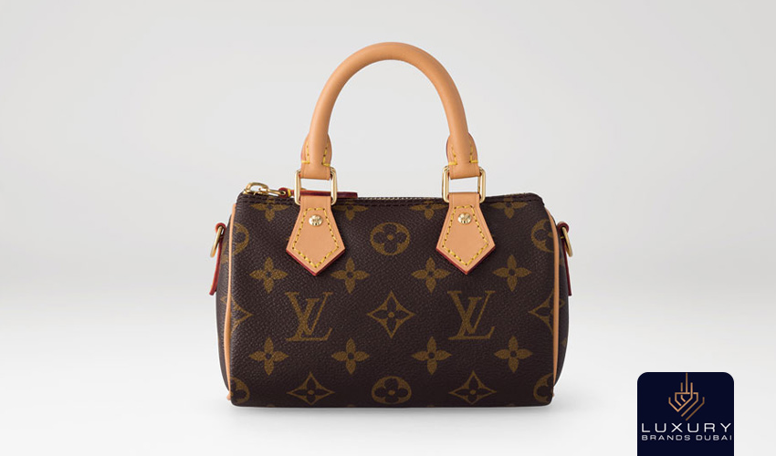 Louis Vuitton Speedy bag 
